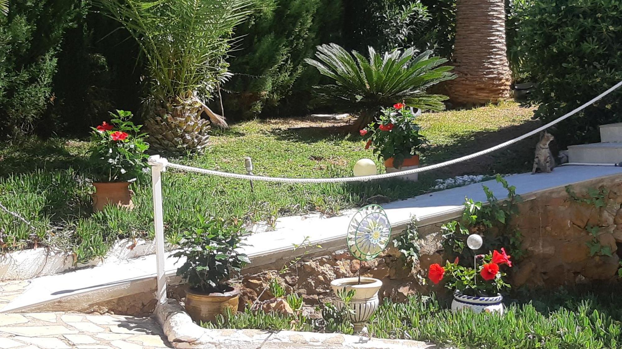 Ferienwohnung Mit Privat-Pool Alcossebre Exteriér fotografie