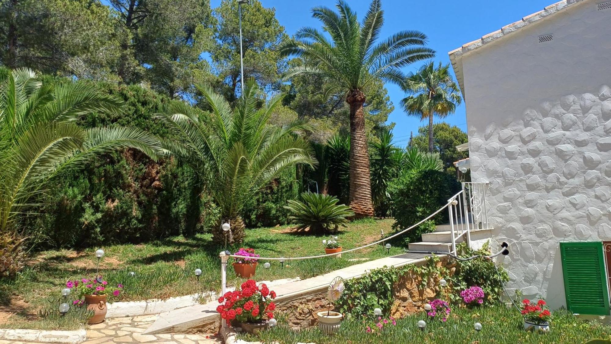 Ferienwohnung Mit Privat-Pool Alcossebre Exteriér fotografie